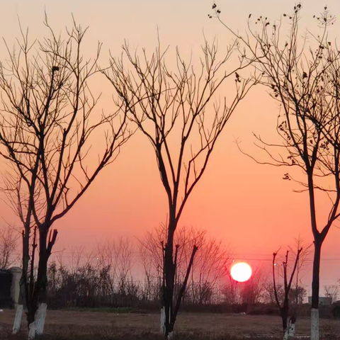 “于道各努力，千里自同风”——洪武路小学六（1）班学期总结