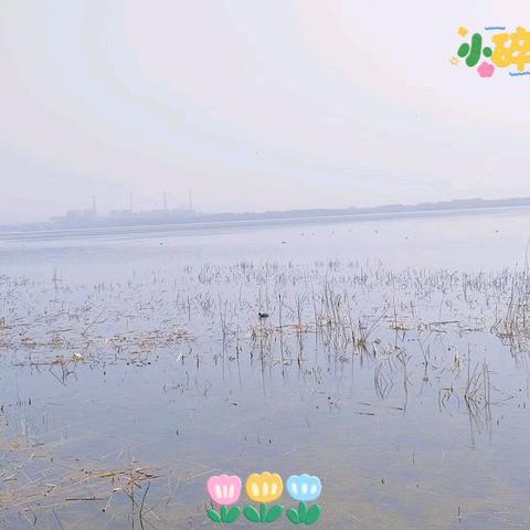 科教幼儿园太阳四班—踏青出行，畅玩寻觅春之旅