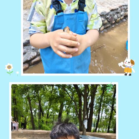 穿越丛林中 快乐捉泥鳅——科教幼儿园太阳四班自然课