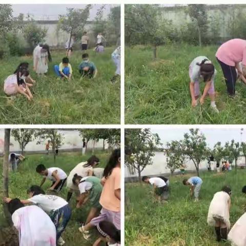 劳动照片