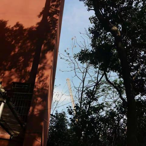 点滴积累，我的实习路上收获颇丰