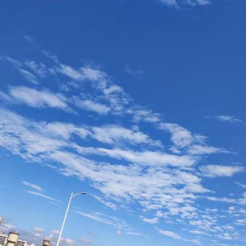 本心之明 皎如白日