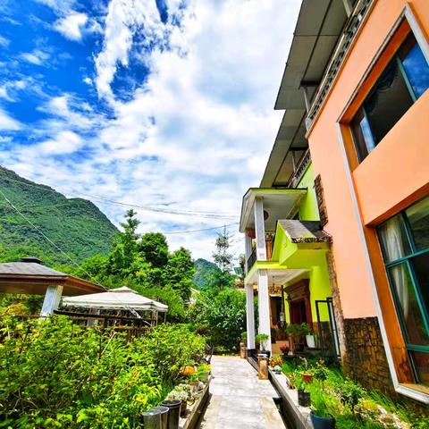 诗意栖居 避世山野 ——在“堰·林里”，静享都江堰25℃夏日秘境