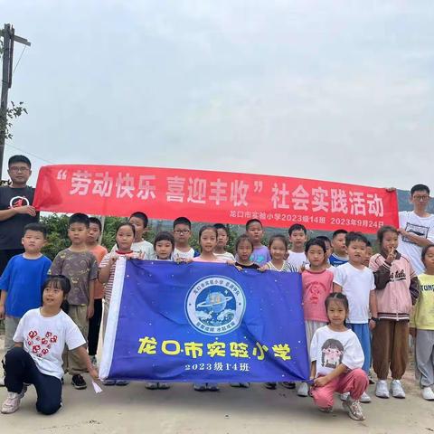 “劳动快乐，喜迎丰收”—龙口实验小学2023级14班社会实践活动