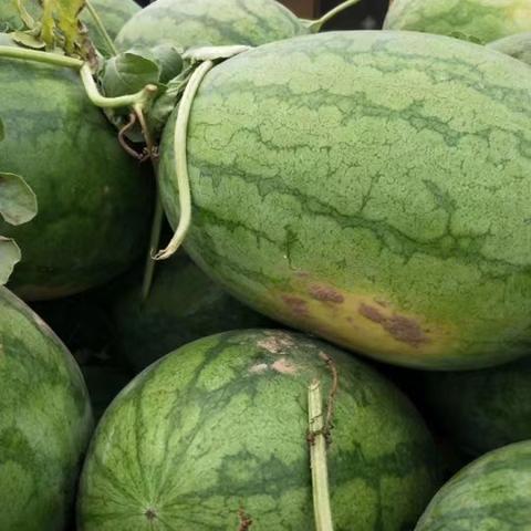 👑【2024年6月20日】华座超市今日特价﻿有以👯👫