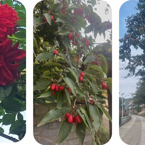 开展人居环境整治 保持村庄长治久新