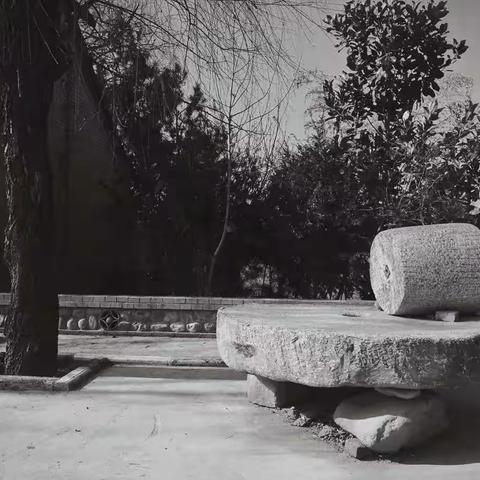 神灵山村的“前世”“今生” ‍—一个小山村的“千万工程”创建成果展