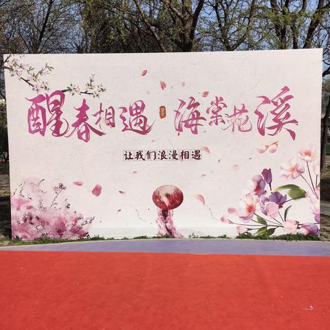 望京休闲水岸海棠花🌸溪