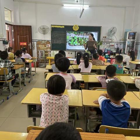 平南县大安镇中心幼儿园大五班种植园课程《番薯叶》