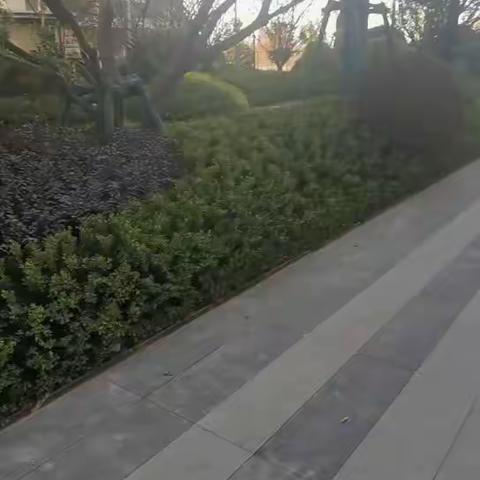 （11.21）星樾府工地进度播报篇1