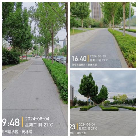 环卫新时代——机械代替人工