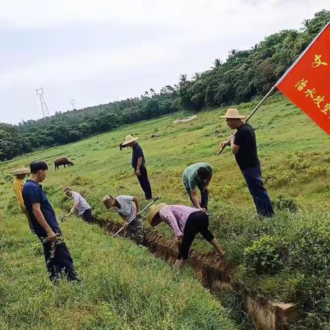 龙北村大力开展5月“六水共治”活动