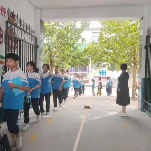 躬耕教坛，强国有我 西曲堤小学教师工作日常（一）