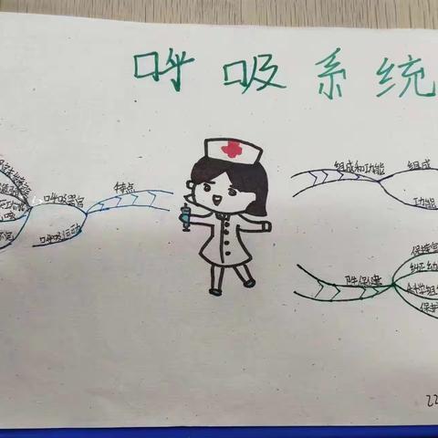 《呼吸系统》是《幼儿卫生与保健》“模块一：幼儿生理特点和卫生保健”的重要内容之一。为更好的掌握本节课的学习内容，德州高级师范学校2022级思维导图兴趣小组同学，根据《呼吸系统》这一内容绘制了思维导图。