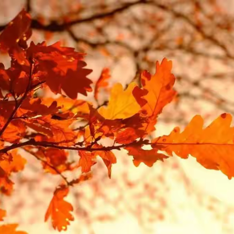 慧辰园E+F2（美好家园  安全保障）