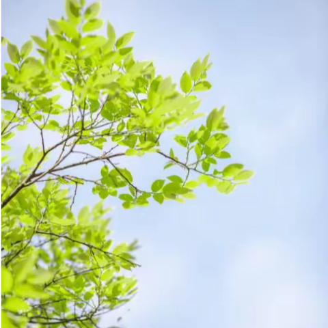 慧辰园E+F2区2月工作简报