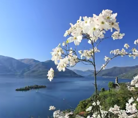 慧辰园E+F2区5月工作简报