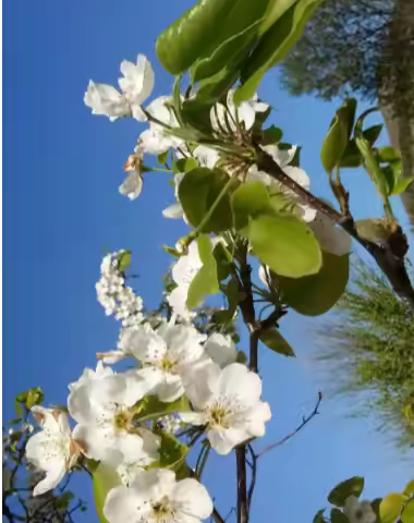 慧辰园E+F2区6月工作简报