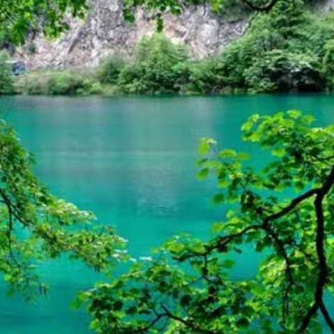 慧辰园E+F2区7月工作简报