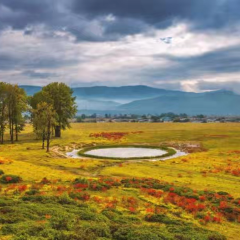 慧辰园E+F2区9月工作简报