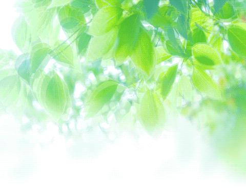 ☀️缤纷五月，快乐成长——良乡第二幼儿园中四班