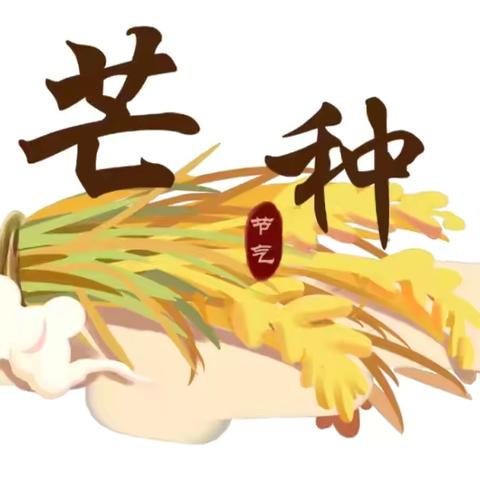 “芒有所得，忙有所获🌾” —-沈河区回民幼儿园二十四节气“芒种”主题活动