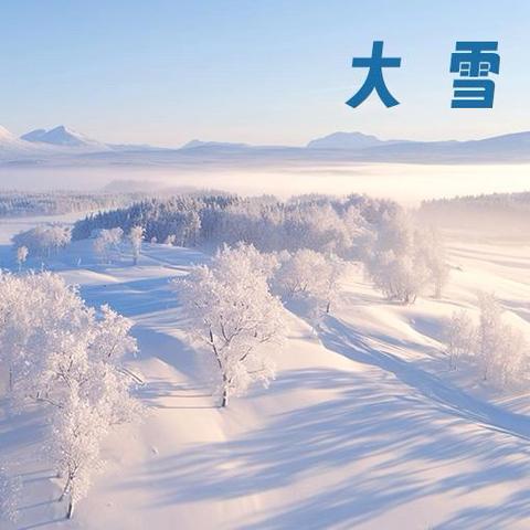 “☃️雪纷至，冬安好❄️”—沈河区回民幼儿园“大雪”节气主题活动