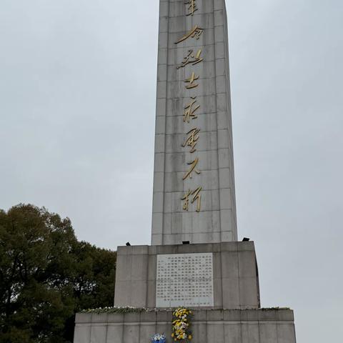 赓续抗战精神 勇担时代使命 ——内科第一党支部开展清明祭扫暨抗战胜利80周年纪念活动