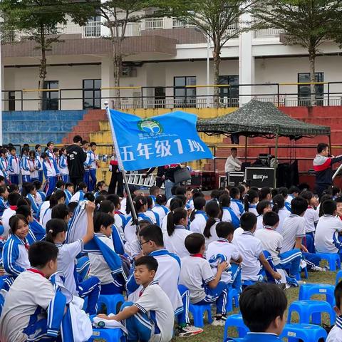 林中的布谷鸟（上）——记五年级上学期的时光（9-11月）