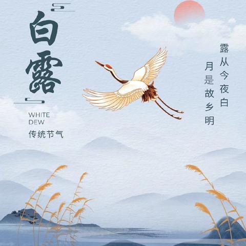 白露起，秋色生——封丘县民生学校幼儿园白露节气活动                         大班组