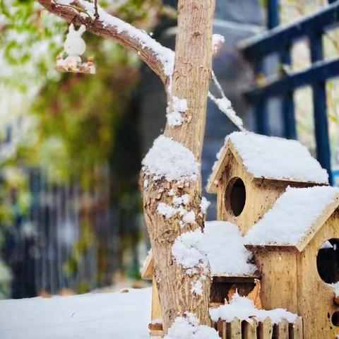 聚势赋能，行稳致远——丹阳市2023学前新教师培养工作室1第三次培训活动