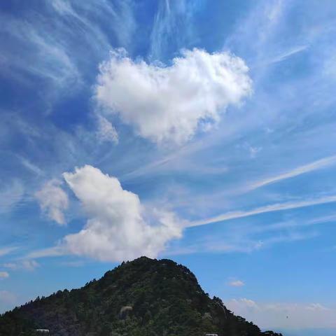 活成一束光