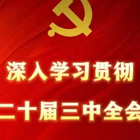 领会全会精神 凝聚奋进力量 ——庄里新区医院党的二十届三中全会精神宣讲