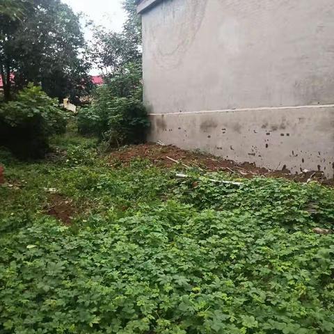 大北汪镇持续开展河道集中治理