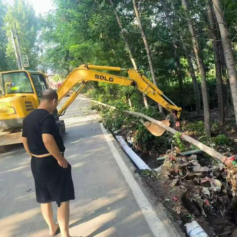 大北汪镇河道治理工作动态