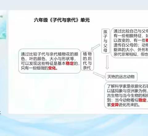 2024年人教版义务教育新教材网络培训会——首师乐东一小学科学组