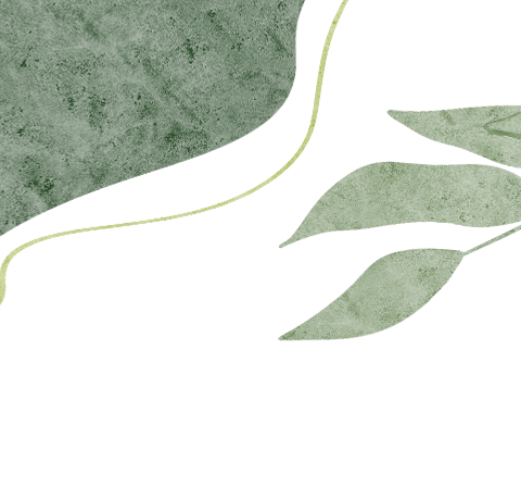 【好政策暖童心 真教育伴成长】 ﻿——免费学前教育政策宣传