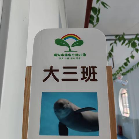 时光恰好，遇见成长——我升大班啦！