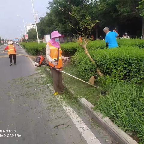 雨后焕新绿 养护铸美景