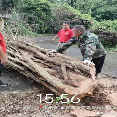 海垦旅游集团纪委书记张军一行到万嘉果公司开展督导调研