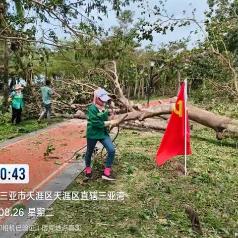 台风“剑鱼”过后天涯区园林人全力以赴奋战一线