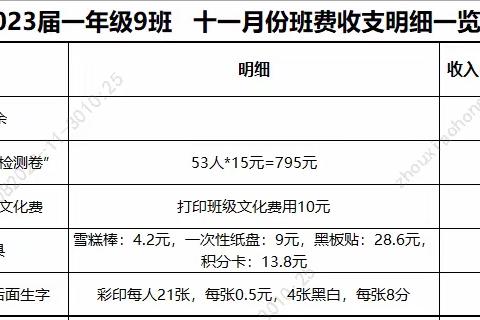 十一月份班费收支明细一览表