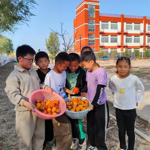 金秋送爽，校园飘香——陈庄镇羊二庄小学开展采摘劳动实践活动