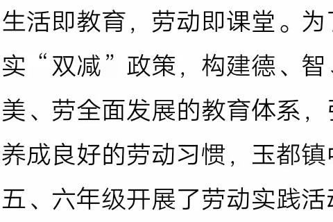 "劳动砺心志，实践促成长——玉都镇中心小学五六年级劳动实践活动