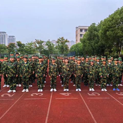 《金秋征途：青春军训的铿锵步伐》