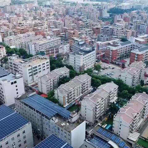 小小消费者，大大权益日——贝怡幼儿园“315国际消费者权益日”知识宣传