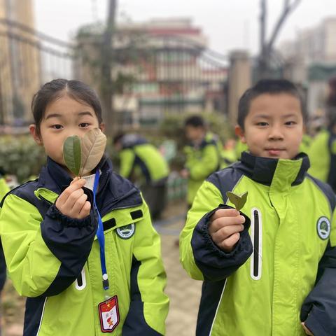 绿地小学一年级鲨鱼公园STEM主题课程《叶片里的水》课堂剪影