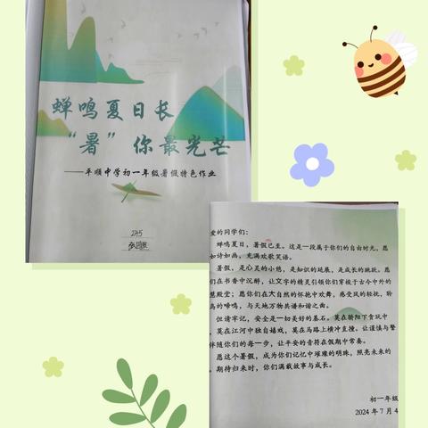 蝉鸣夏日长，“署”你最光芒