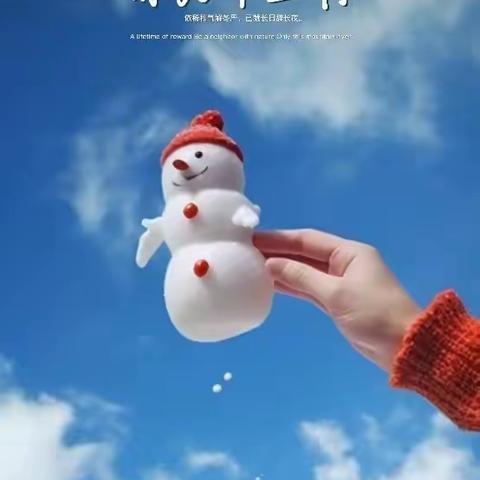 雨中蔷薇的简篇