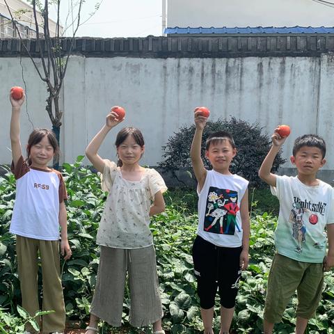 劳动“育”见美，“果”香满校园——王店镇中心小学劳动实践基地学生活动纪实